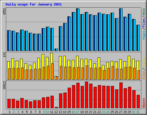 Daily usage for January 2021