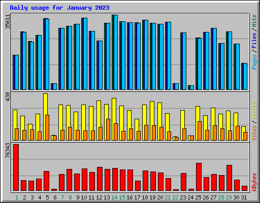 Daily usage for January 2023