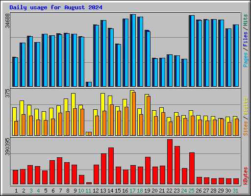 Daily usage for August 2024