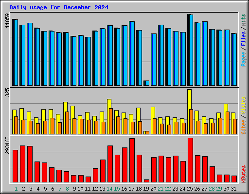 Daily usage for December 2024