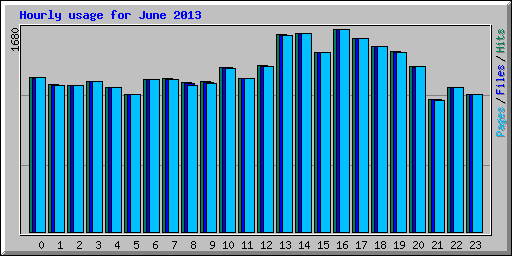 Hourly usage for June 2013