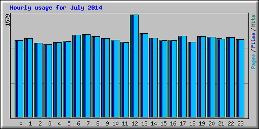 Hourly usage for July 2014