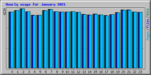 Hourly usage for January 2021