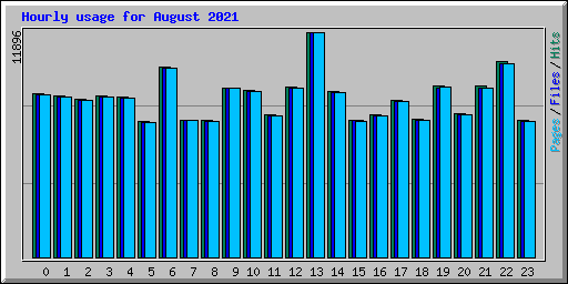 Hourly usage for August 2021