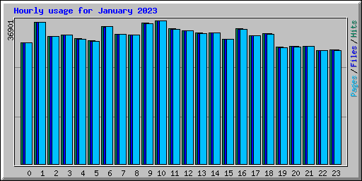 Hourly usage for January 2023