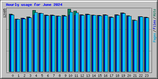 Hourly usage for June 2024