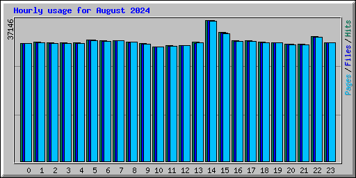 Hourly usage for August 2024