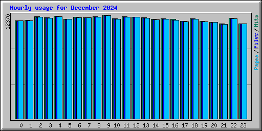 Hourly usage for December 2024