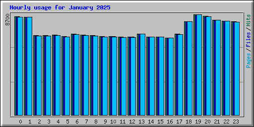 Hourly usage for January 2025