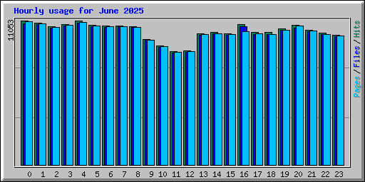 Hourly usage for June 2025