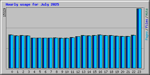 Hourly usage for July 2025