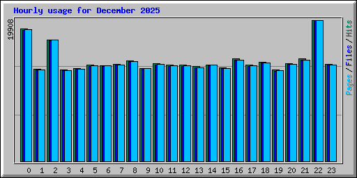 Hourly usage for December 2025