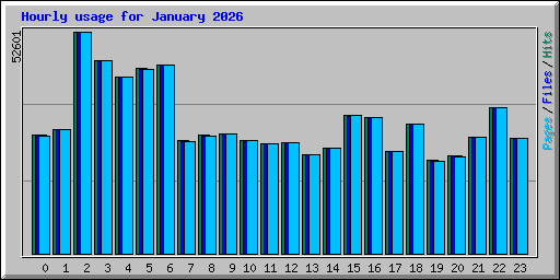 Hourly usage for January 2026