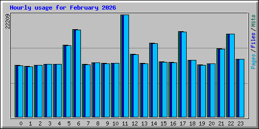 Hourly usage for February 2026